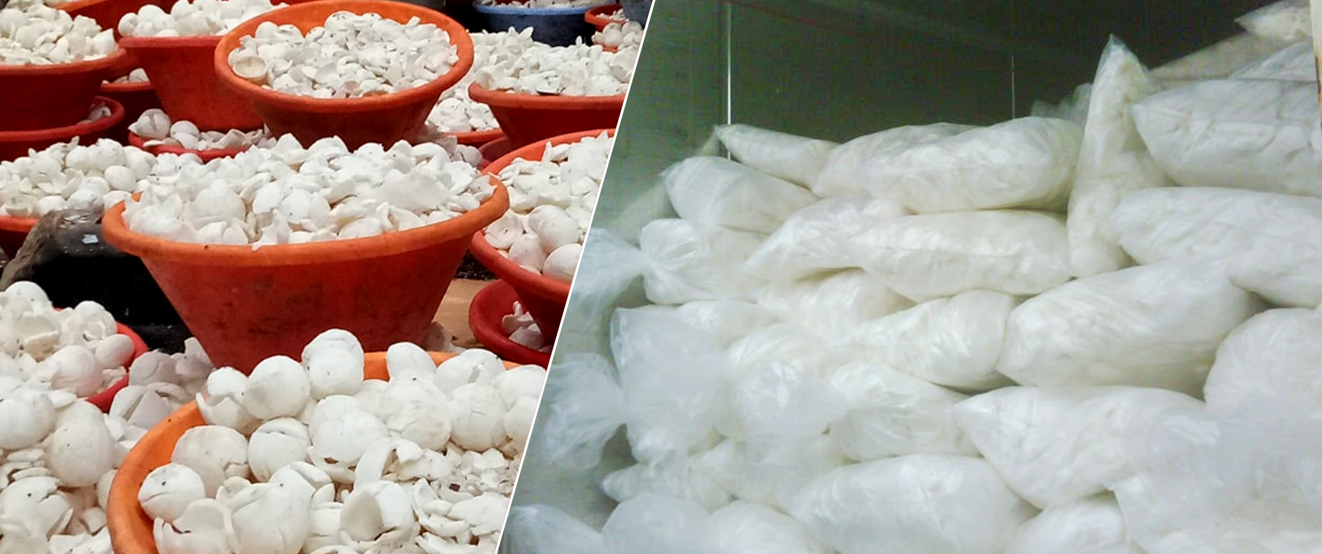 Husked-coconut-exporters