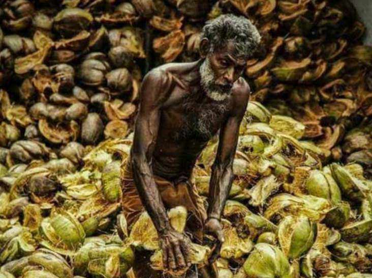 Coconut Exporters in Kerala