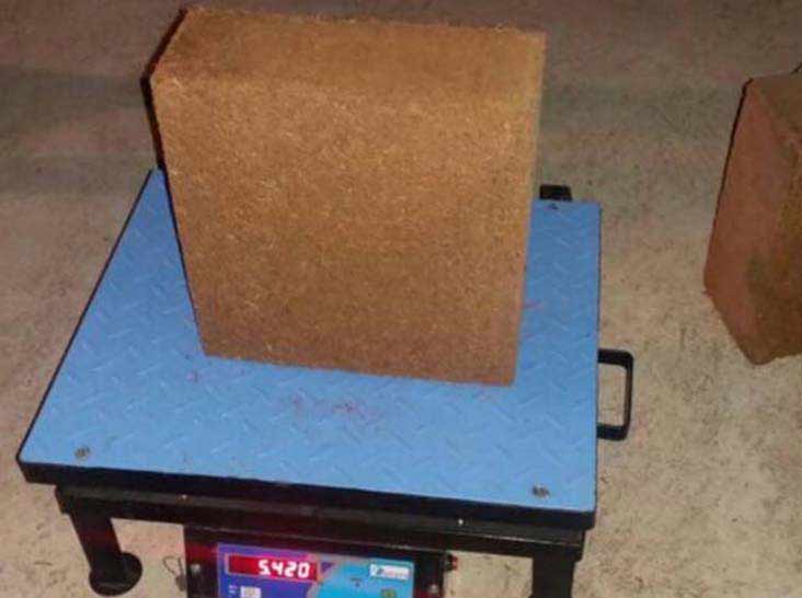 Coconut Exporters in Kerala