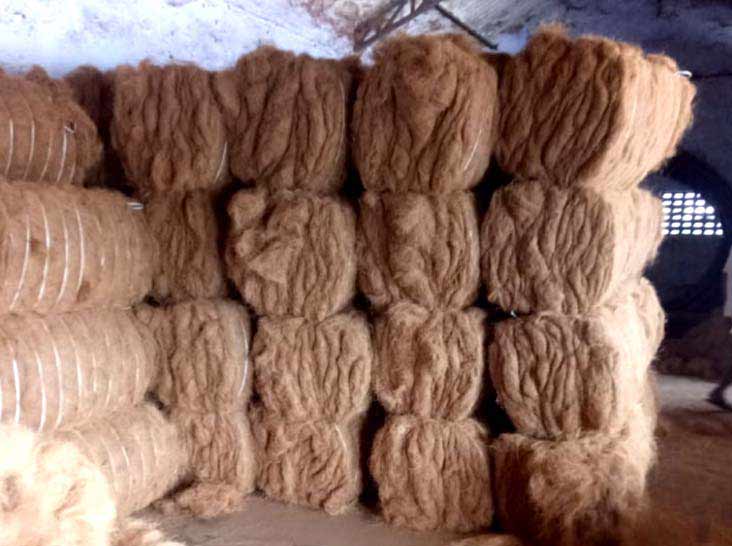 Coconut Exporters in Kerala